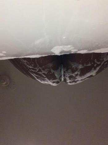 CHOCOLATE POUND CAKE, 38  female escort, Eastern